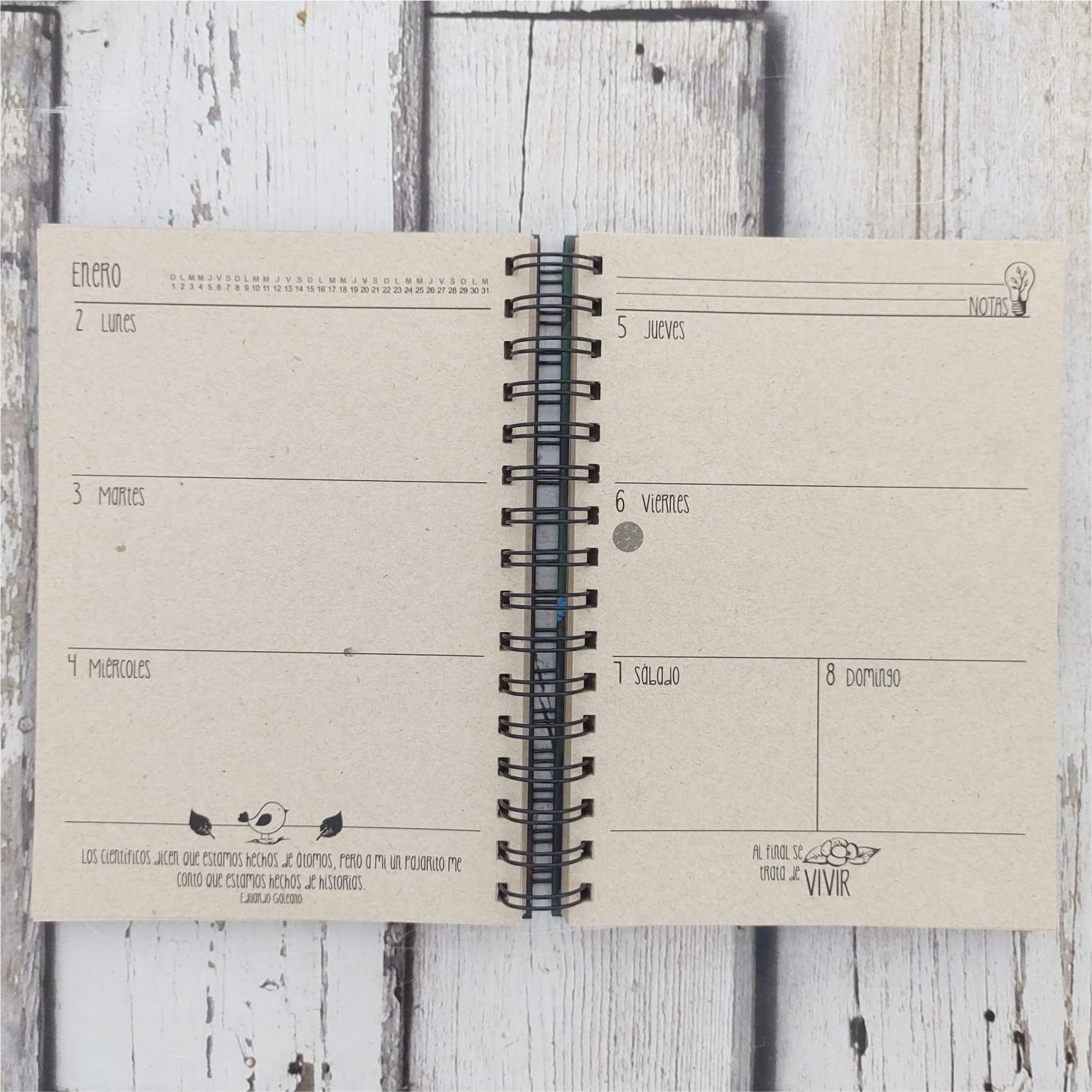 AGENDA DOCENTE 2026 COLIBRI - Image 7