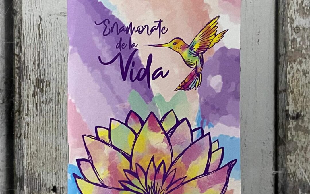 PLANNER ANUAL A5 COLIBRI